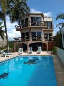 The Turtle House - Image 3