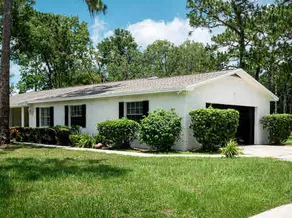 3bdr/2bath Home in Lutz close to Tampa/Stadium - Image 5