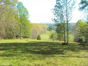 Grove Cabin 20 acres of privacy (no extra fees) - Image 5