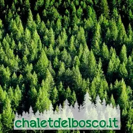 Chalet in the woods, two-room apartment, sleeps four - Image 4