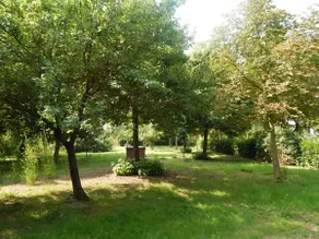La Civetta - Image 2