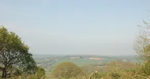 Upside down countryside living - Image 3