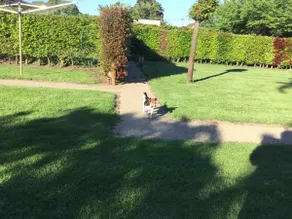Vacation home Boekt Heusden Zolder - Image 4