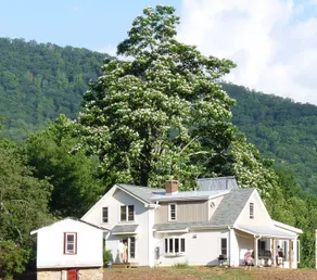Whistlepig Farm! 20 min Avl/10 min BR Pkwy/5 acres - Image 3