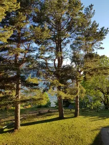 Vacation home 1 in the most beautiful panoramic position in Valais - Image 4