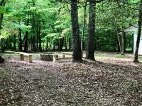 River Rock Cabin - Private Escape - ON the Etowah River! - Image 4
