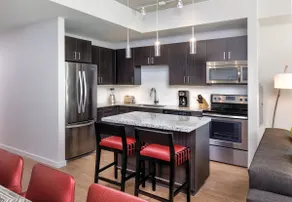 SPACIOUS 2 BEDROOM SUITE In the heart of Austin! - Image 4
