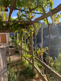 Il Nido Del Falco - Art house with terrace and sea view - Image 5