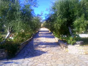 Villa Eleftheria - Image 2