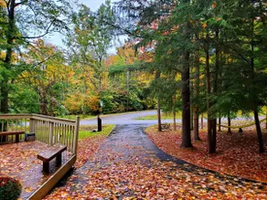 The Knotty Pine a Romantic Getaway - Image 5