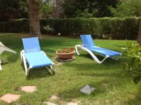 Tranquil setting - Image 2