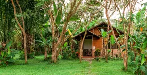 PRIVATE CABAÑA WITH BREAKFAST - Image 4