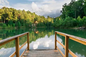 Lakeside Wonder - Image 3
