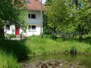Little Paradise in the nature - Image 2