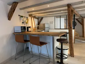 Duplex apartment in Colmar Old Town - Image 3
