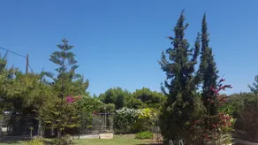 Villa Liberty - Image 2