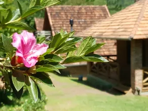 Romantic Cottage in Paradise Reserve - Image 5