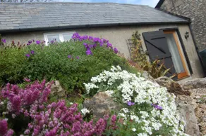 'Mwendafye' cozy cottage - Image 2