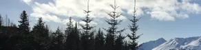 Glacier Creek Cabins - Image 2