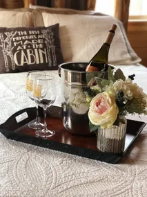 Yadkin Valley Vineyard Cabin-cozy & private - Image 2