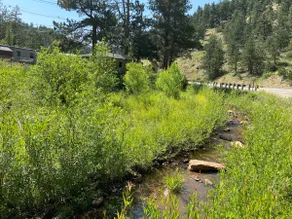 Colorado Coal CreekCabin-BoulderGolden-ZebulonPike - Image 5