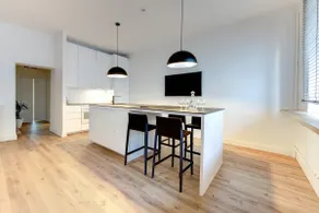Center Apartment, Vilnius, Old Town - Image 4