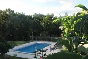 Old Stone House with pool Kucice near Omiš - Image 4