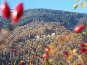Gîte de Chapelèche Les Châtaigniers - Image 5