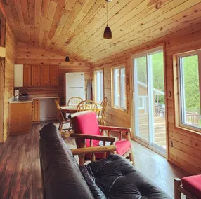 Standing Pines Lodge - Clear View Cottage - Image 4