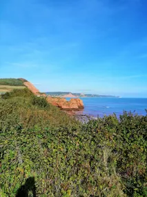 Coastal paradise - Image 4