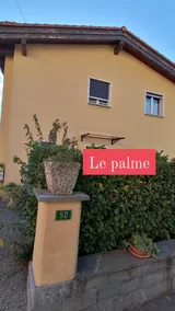 Le palme - Image 2