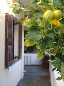 Artistica, et unikt hus i den smukke Ermioni. - Image 5