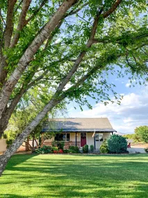 A house in the orange grove - Image 3