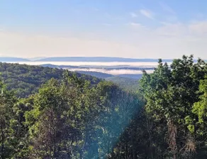 Modern Mountaintop Log Home with Amazing Views! - Image 4