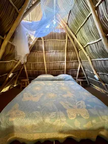 Palapa Chili # - Image 5
