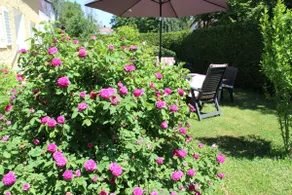 85 m² garden apartment between Ammersee and Augsburg - Image 3