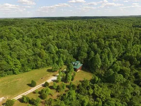 1300 sq ft cabin, hot tub, disc golf course - Image 2