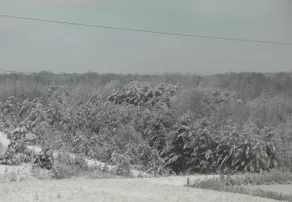 The Ridge Retreat - Image 4