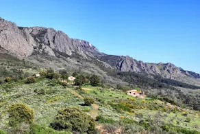 House in the middle of nature 1 - Image 3
