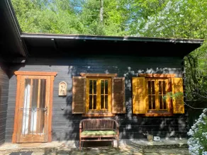 Comfortable forester's house with a view of the Schneeberg - Image 4