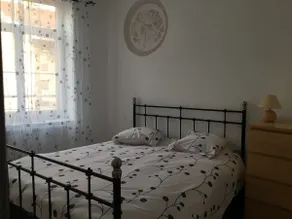 The German Shepherd's love nest - Image 3