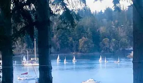 The Perch @ Eagle Harbor - Image 5