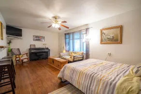 Tortoise Shell Apartment in Nature Habitat - Image 5