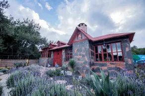 Hidden Forest Cabin - Image 2