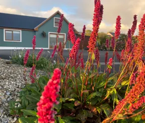 Grouse Lodge near Inch beach Dingle + Killarney - Image 2