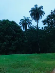 NATURE, PEACE AND COMFORT - Image 5