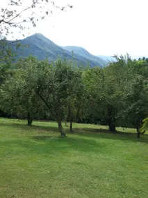 Monica's Garden - Image 2