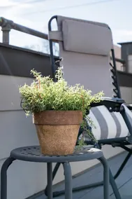 LUXURY LOFT PRIVATE ROOFTOP MIN 2 HONK TONKS! - Image 3