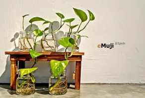 eMuji Home @ Ipoh - Image 3
