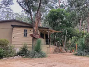Shadygums - Image 2